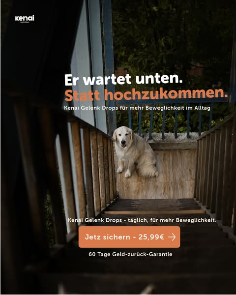 Was steife Gelenke täglich brauchen