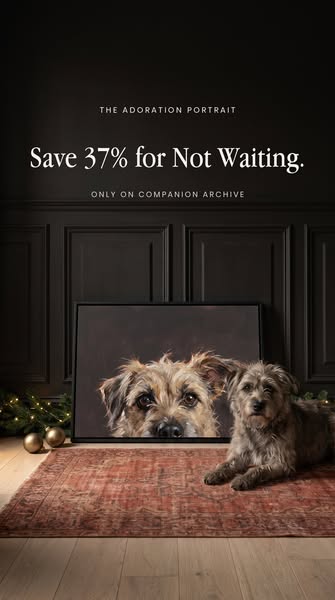 Order Early, Save 37%