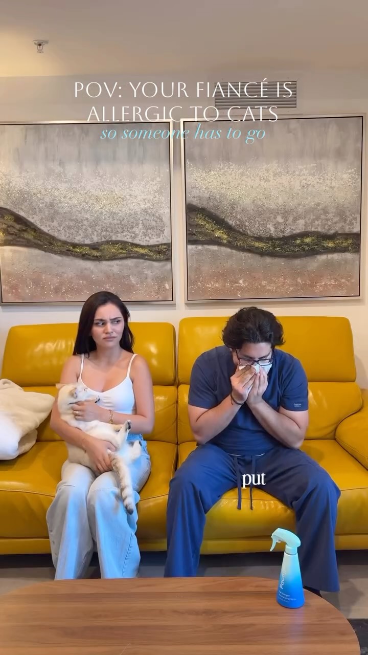 Anúncio de acat.namedgigi