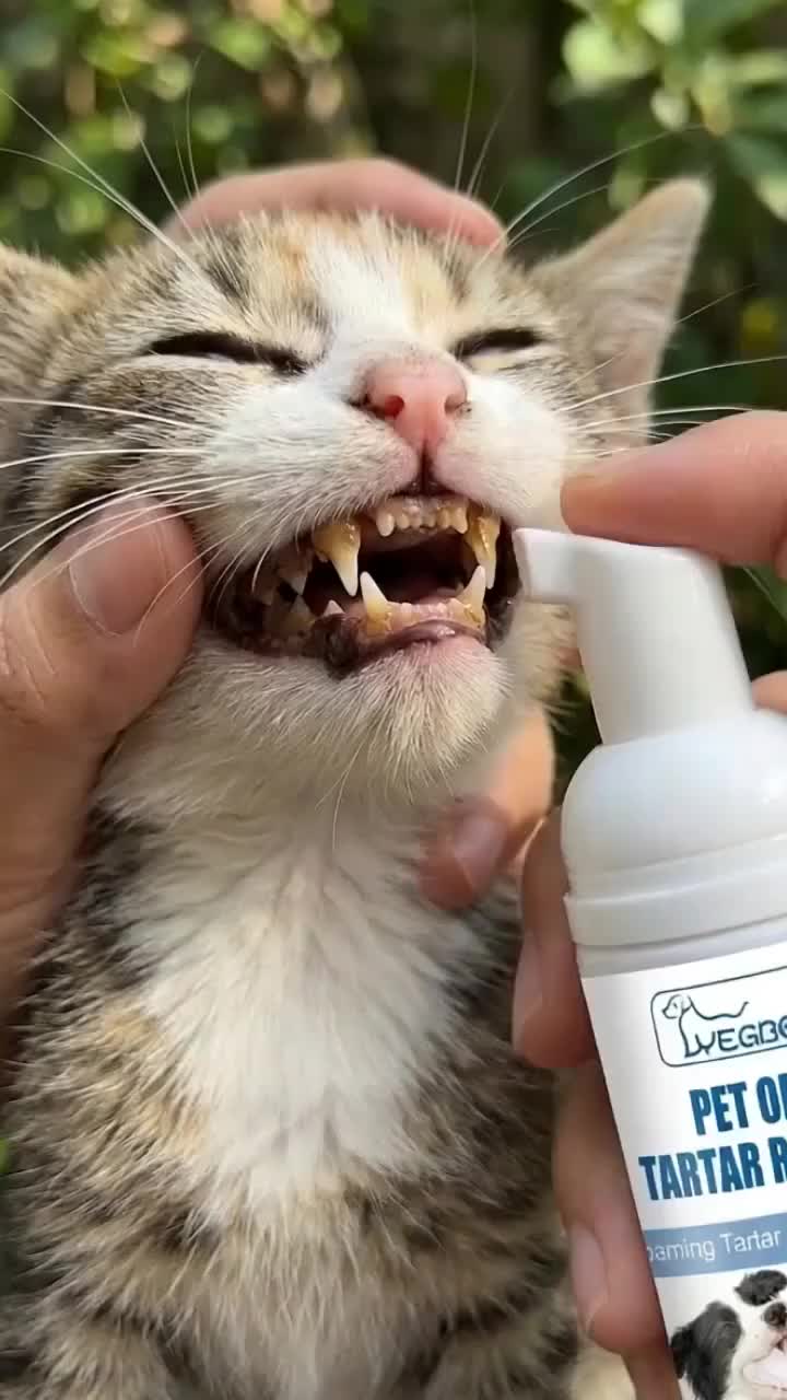 Pet Dental Care Oral Spray
