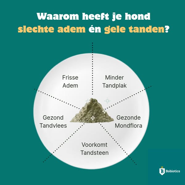 Negeer deze 5 signalen van je hond z'n gebit niet