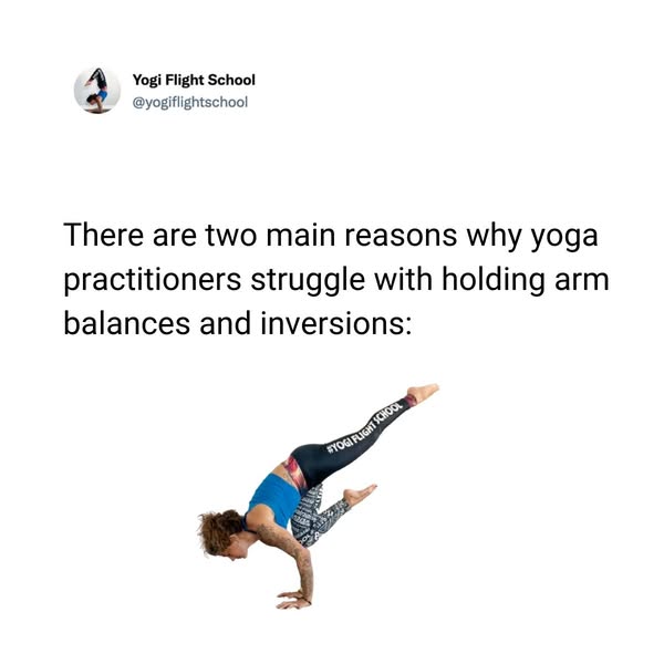 Yogi Flight School