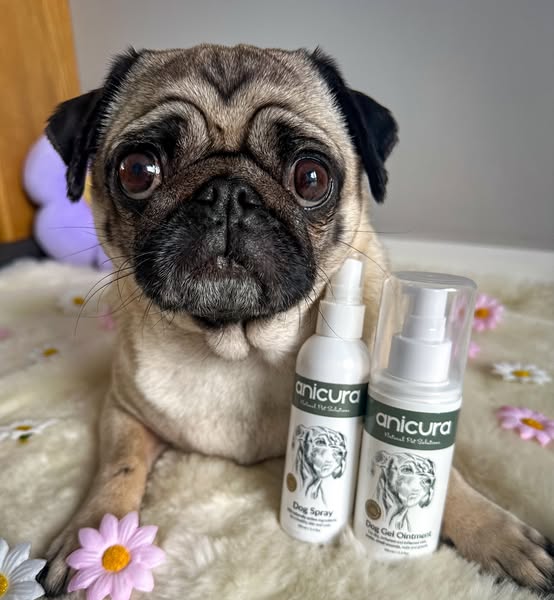 Anicura Dog Spray for Dry & Itchy Skin