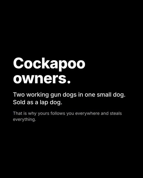 Discover your breed