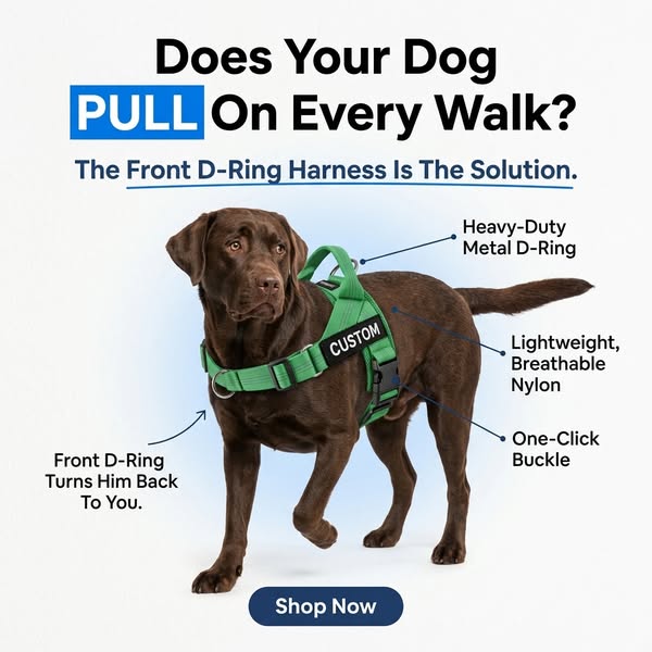 Dog Pulling? Dragging? Consider Them Handled.