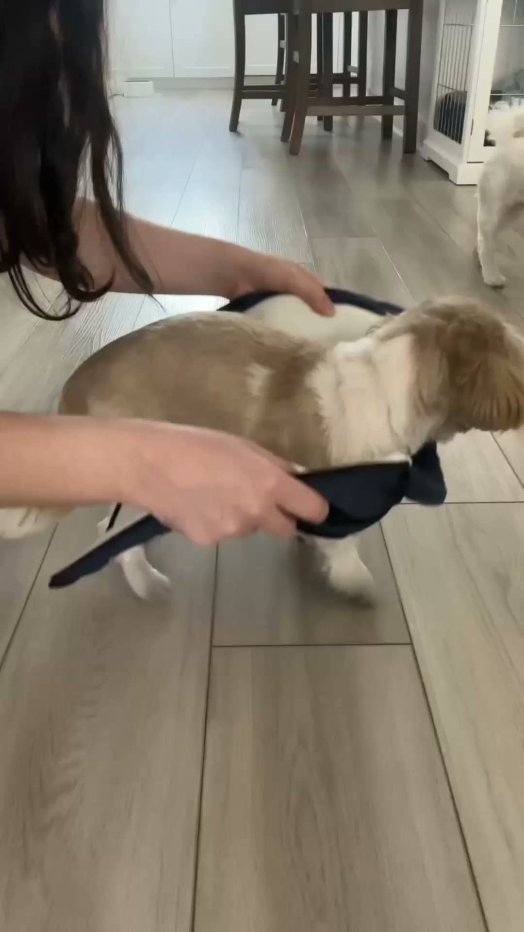 Inget väder stoppar er promenad