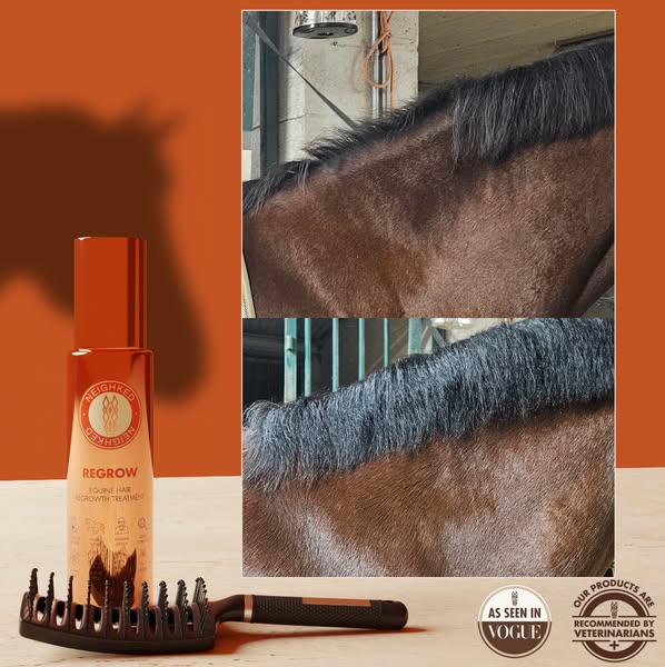 REGROW - Focus on the Follicle