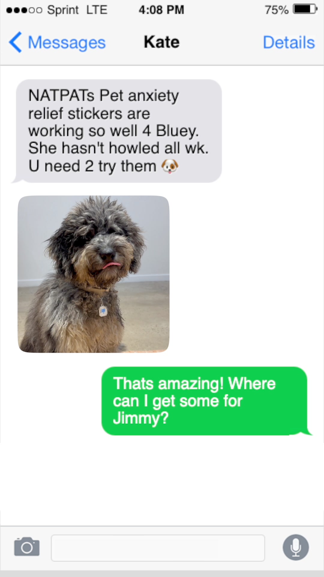 Stress-Free Pets? It’s as Easy as a Sticker with ZenPatch!