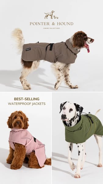 Best fitting dog jackets