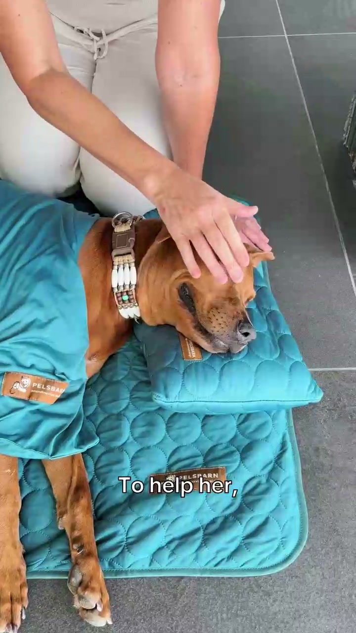 Dog Cooling Mat