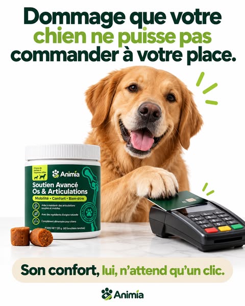 Dernière chance : offre jusqu’à ce soir