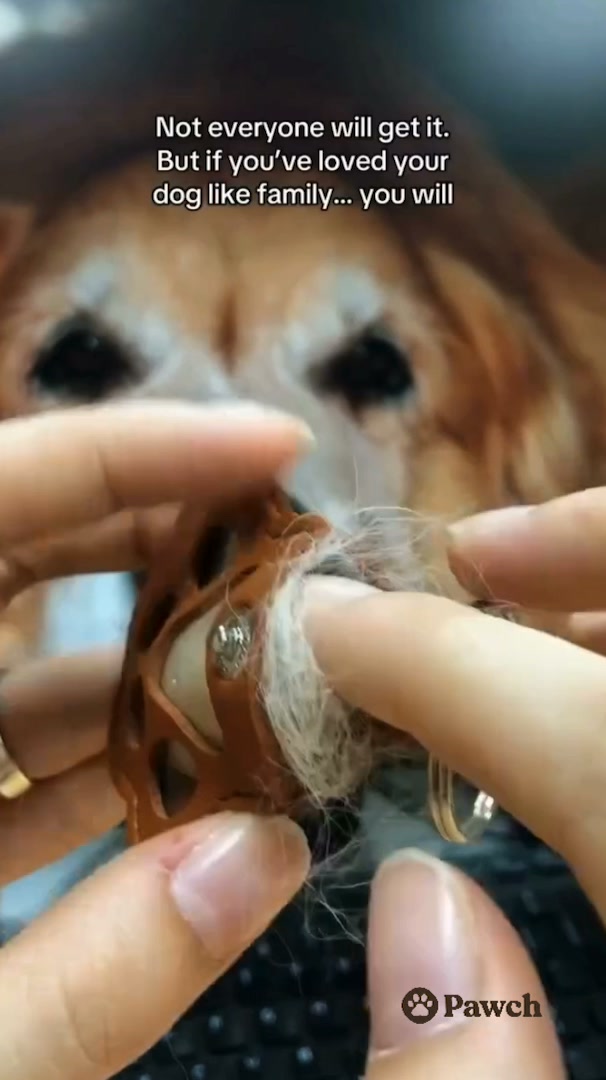 A DIY Keychain Made to Match Your Dog