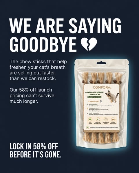 Comfora Silvervine Chew Sticks | 58% Off