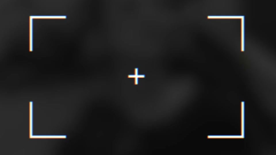 56 Collections, One Bundle