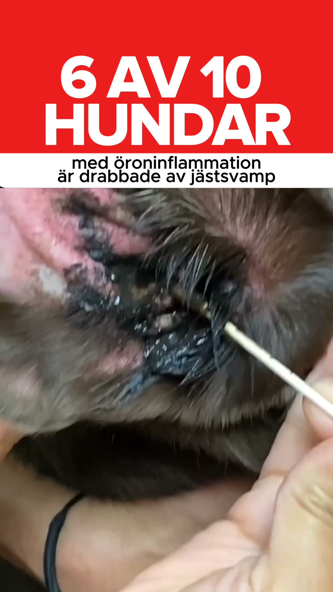 7 skäl till att det är samma problem