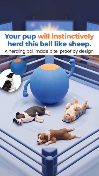 The One Thing Your Dog Actually Needs