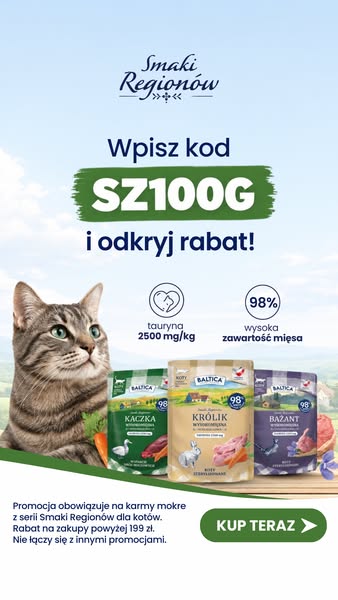 Wybierz smak dla swojego kota