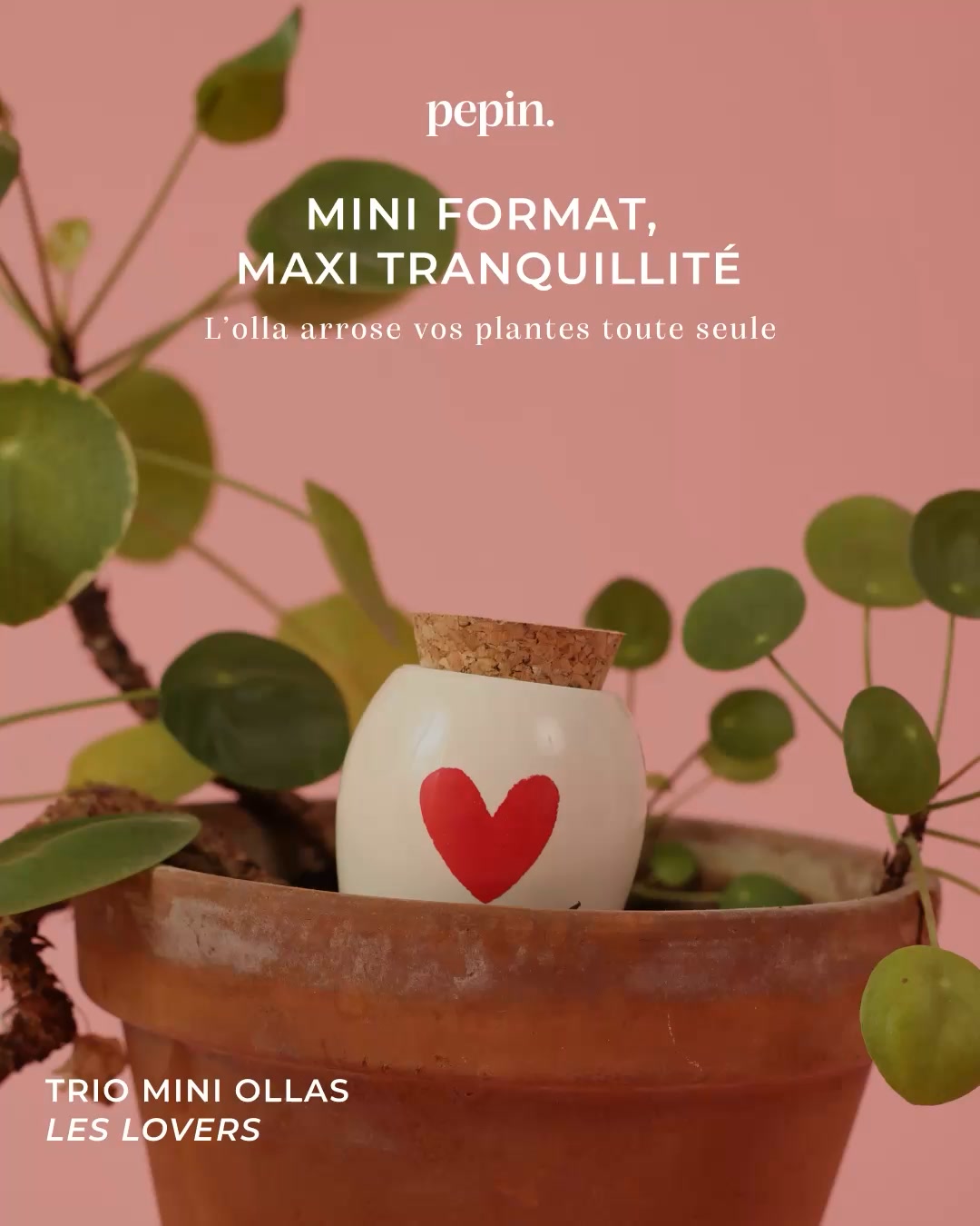 Votre nouveau plantsitter