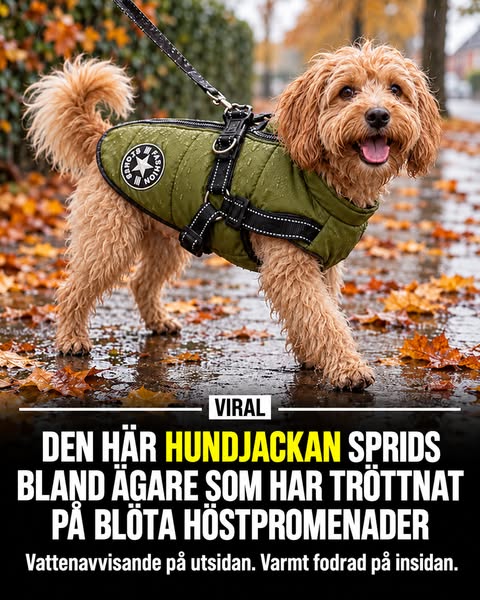 Se erbjudandet