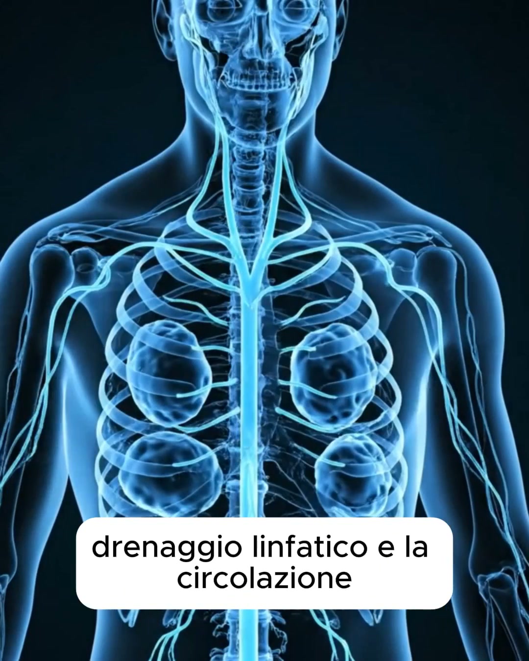 Non dare la colpa al tuo stile di vita — Inizia rimettendo in forma il tuo sistema linfatico