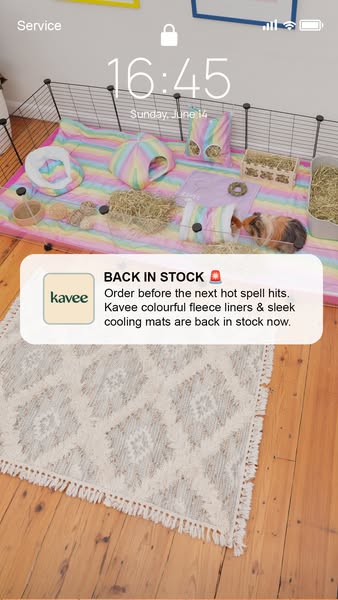Décor-Approved Pet Comfort.