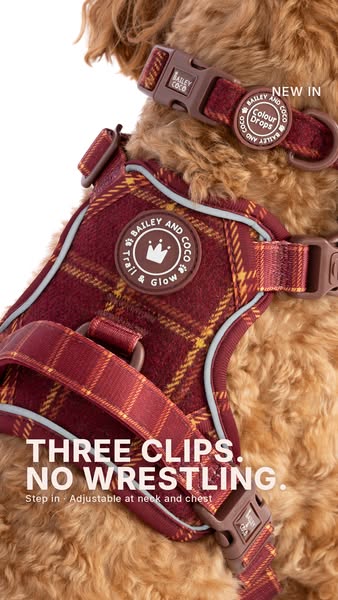 Clips at the neck. No wrestling.