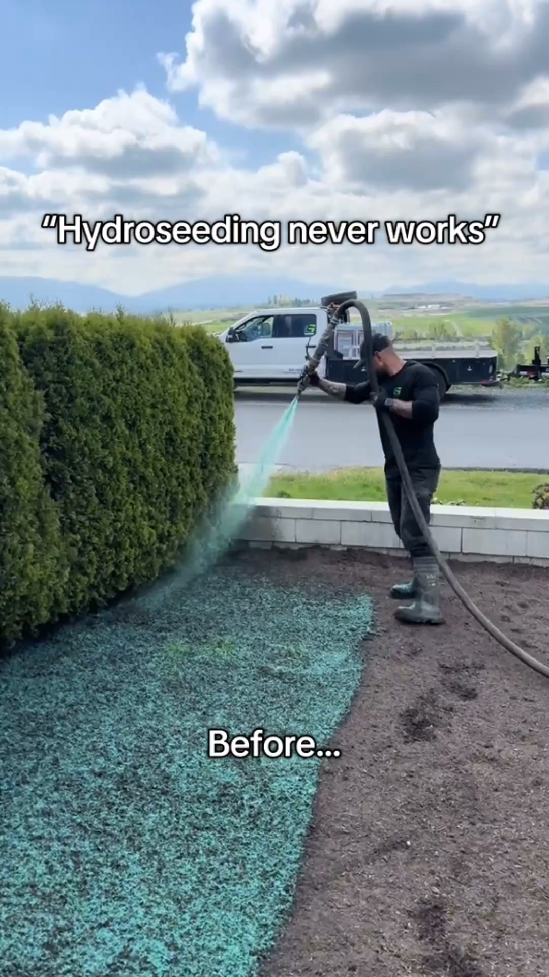 Relvado verde em 5 dias