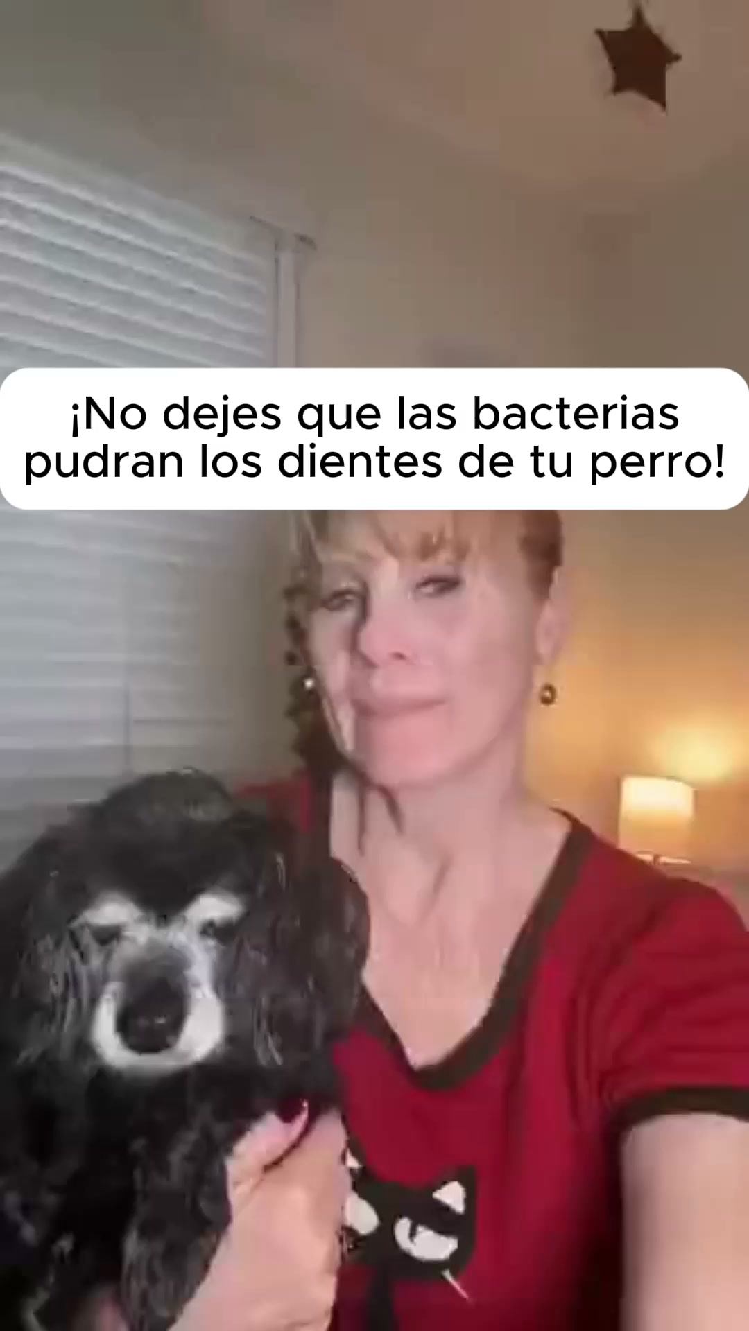 Pago Contra Reembolso - Envío Gratis 24/48h