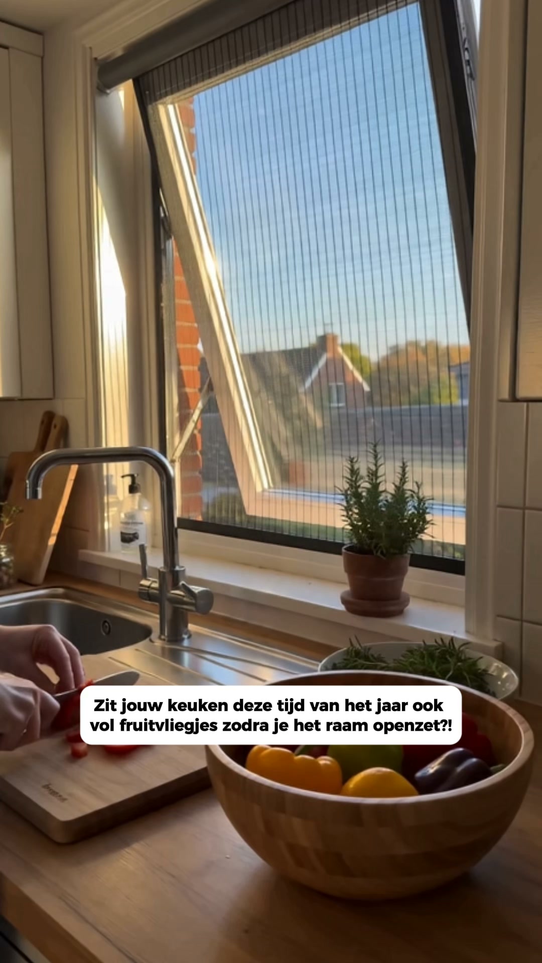 Maak jouw raam insectvrij