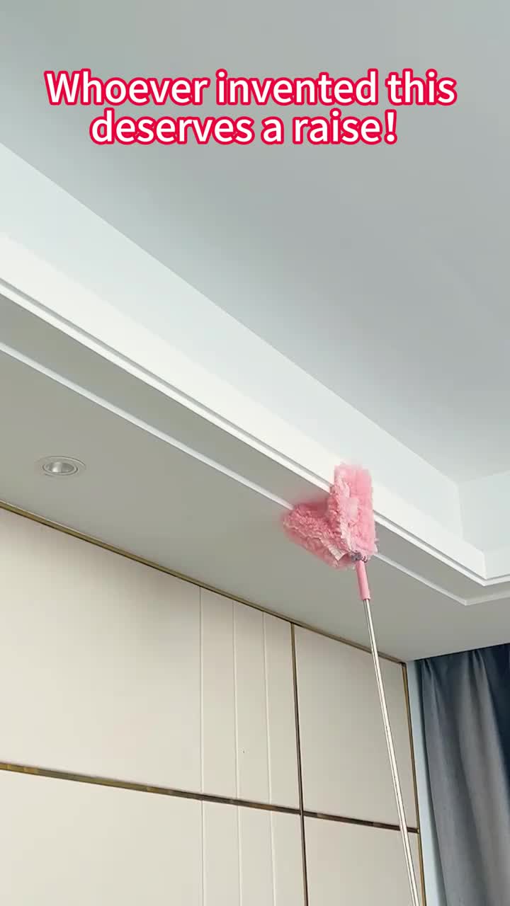 Double-head duster