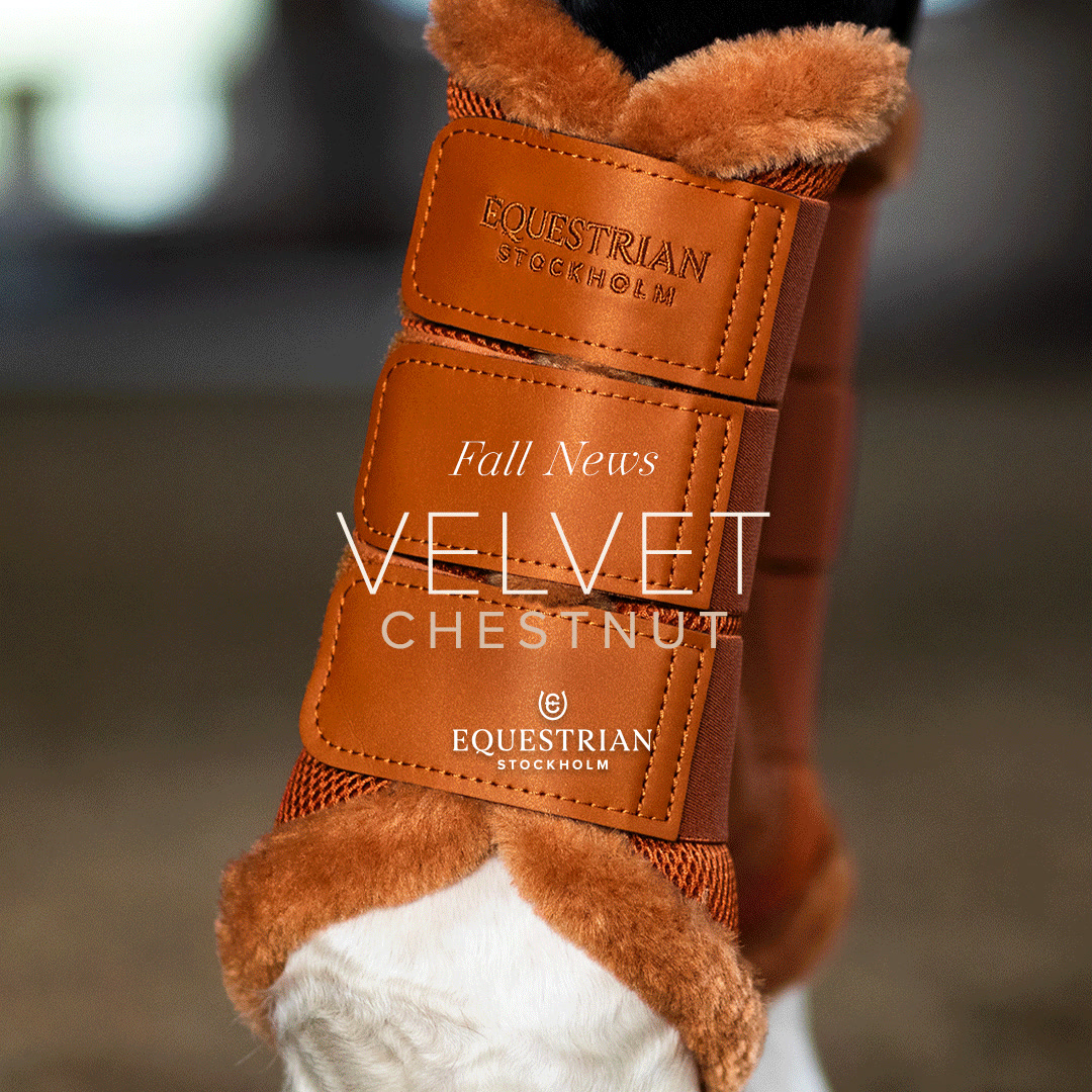 Dressurschabracke Velvet Merlot