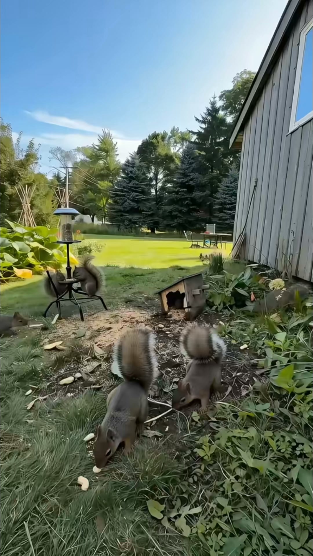 Keep Unwanted Rodents Away