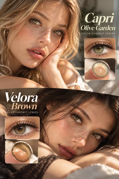 Olive Green or Golden Brown?