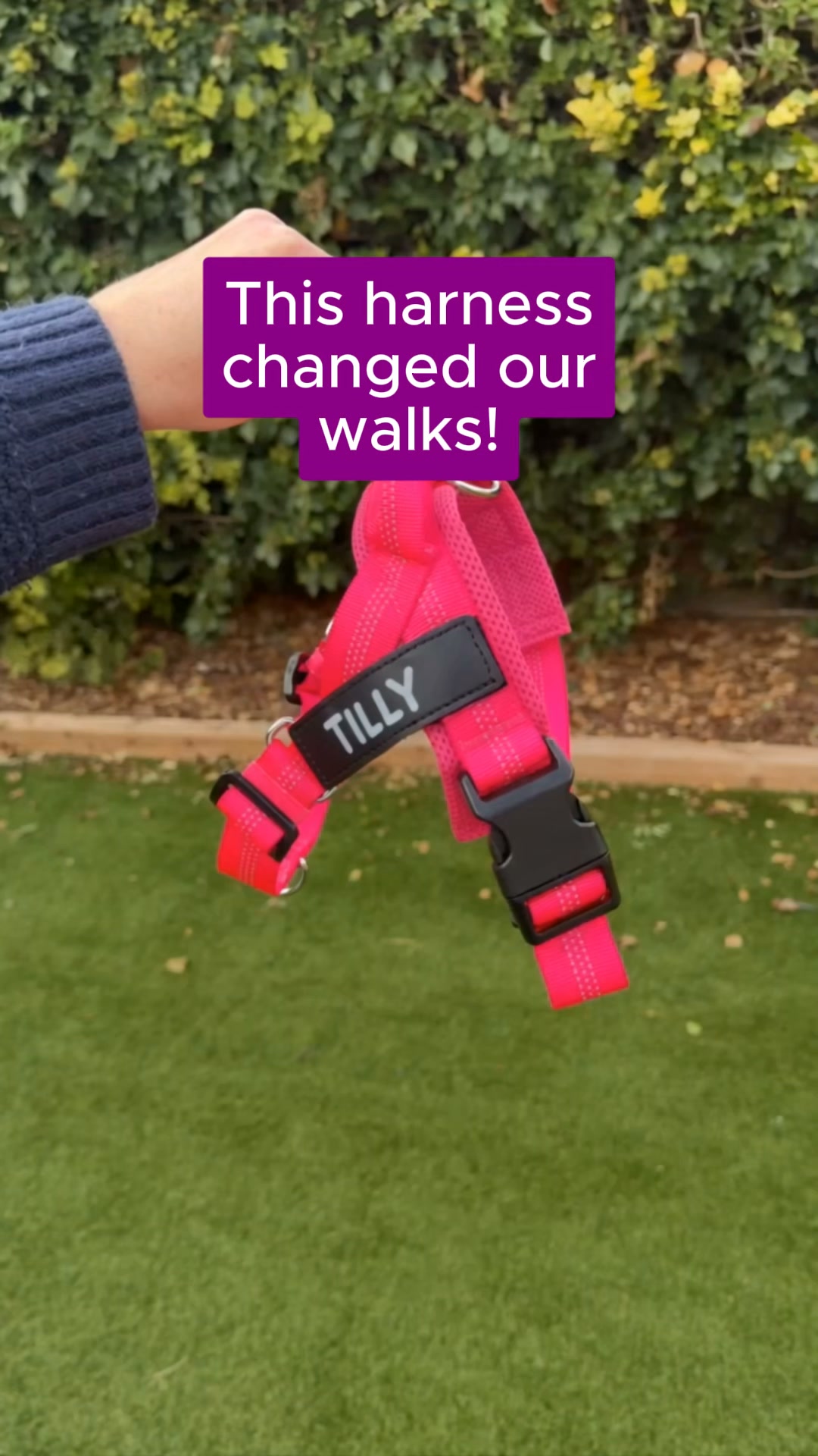 More Confidence on Every Walk