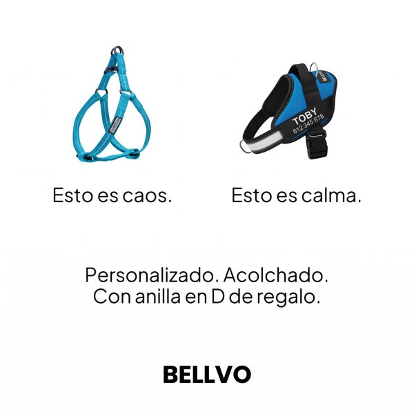50 % en el arnés Bellvo