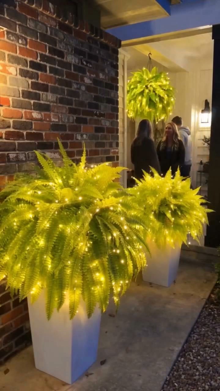Glowing Boston Ferns with Lights – Zero Watering, Zero Maintenance