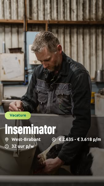 Vacature: Inseminator