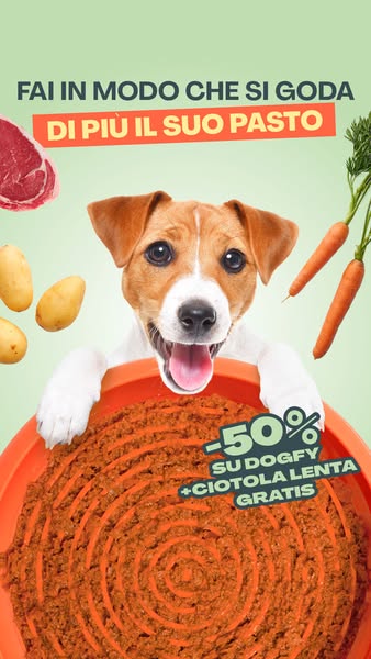 Al buon cibo, il ritmo giusto Ora la tua prima box Dogfy arriva con una ciotola anti-ingozzamento in regalo
