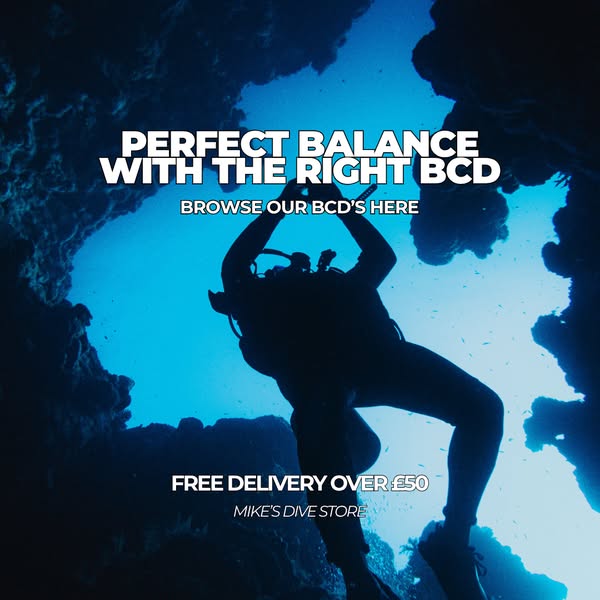 Find the BCD for you