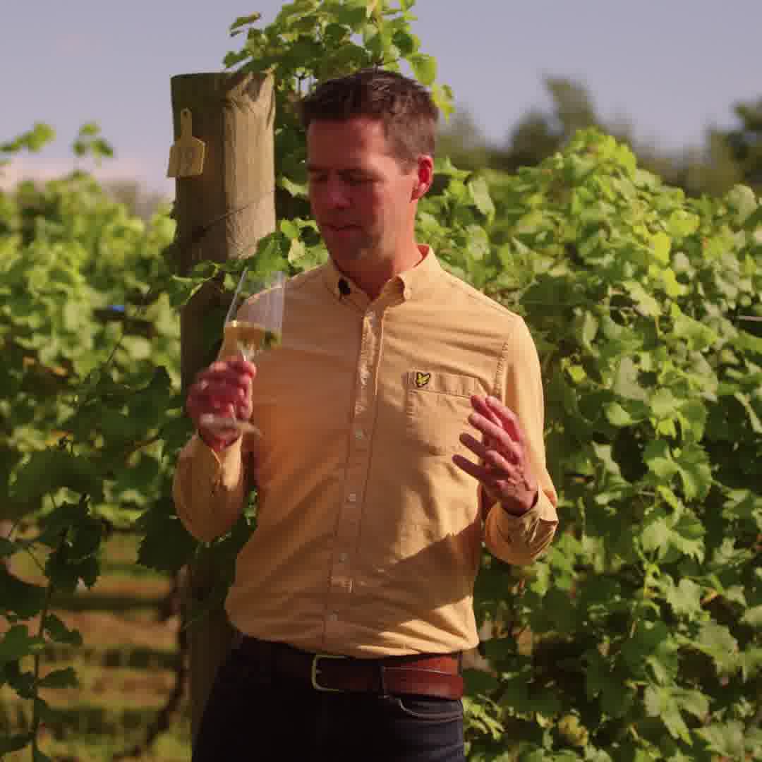 Discovery Series Chardonnay