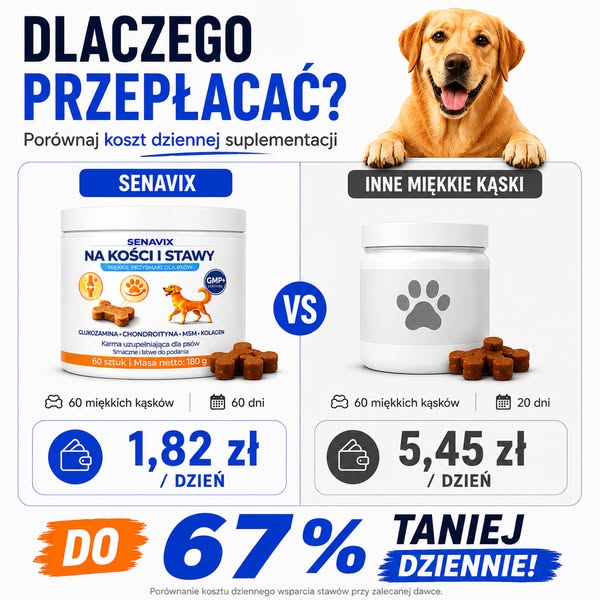Wsparcie stawów już od 1,82 zł dziennie