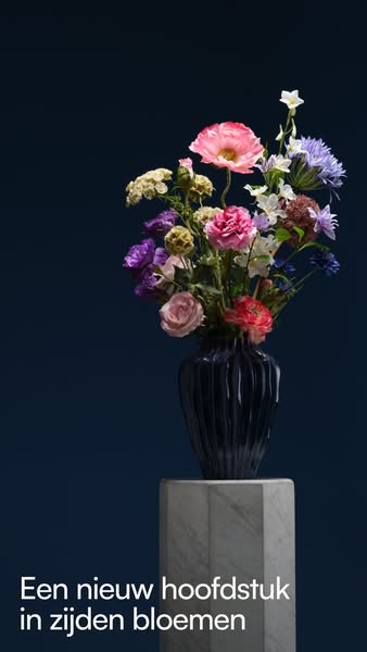 Ontdek de nieuwe collectie