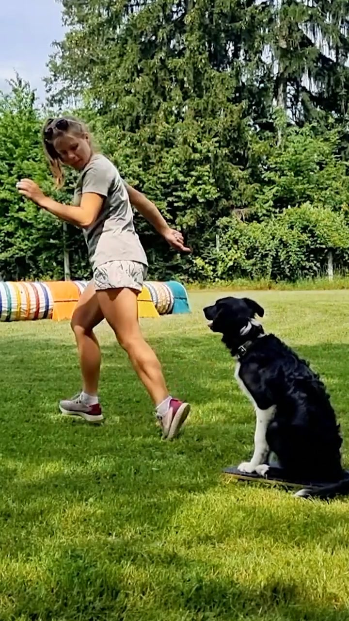 Discover Puppy Goals For Agility!