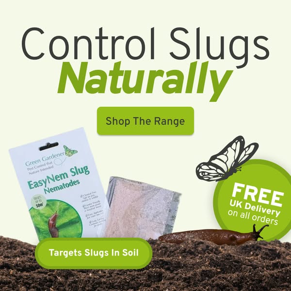 Stop Slug Damage Fast