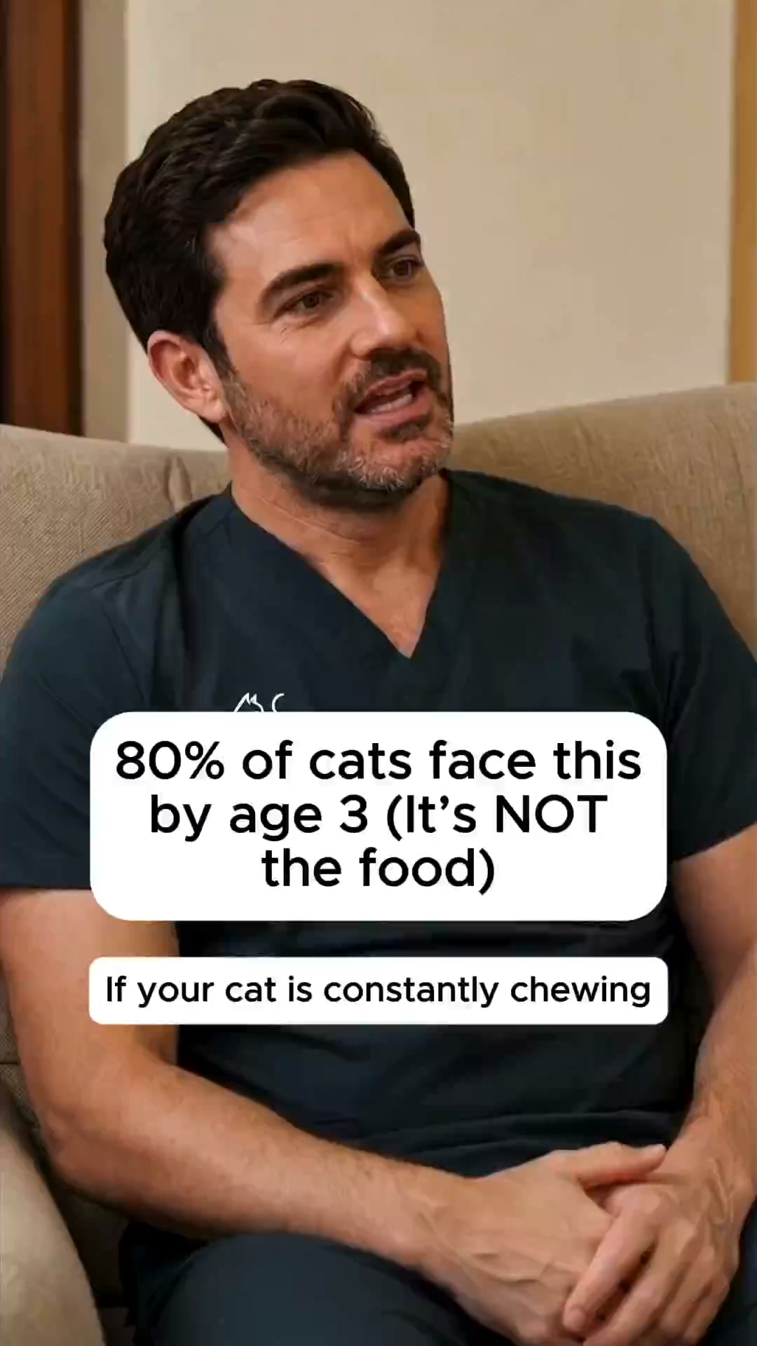 he $800 Problem Most Cat Owners Never See Coming