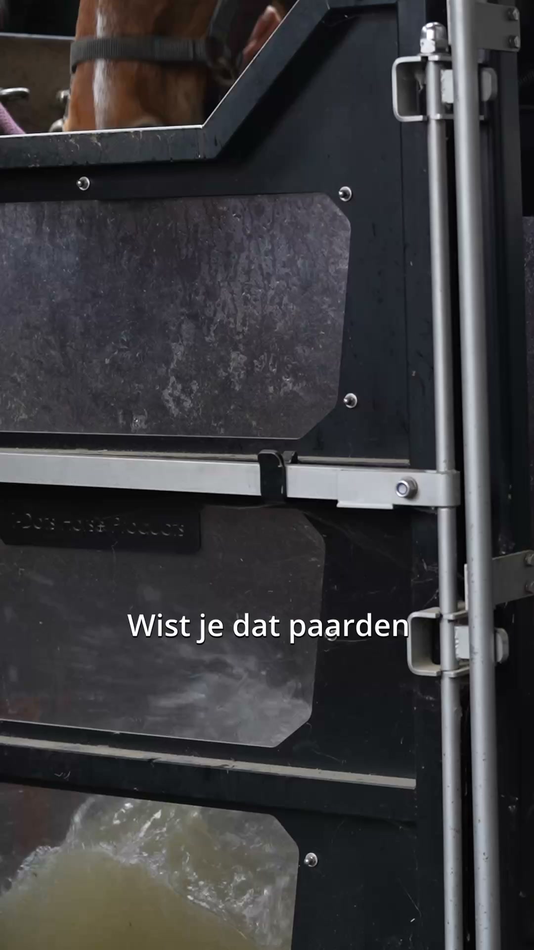 Reinig de lever & ondersteun de gezondheid - Op een natuurlijke manier gifstoffen afvoeren.