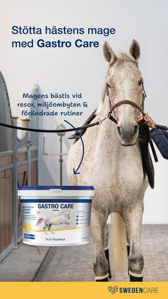 Skydda hästens mage