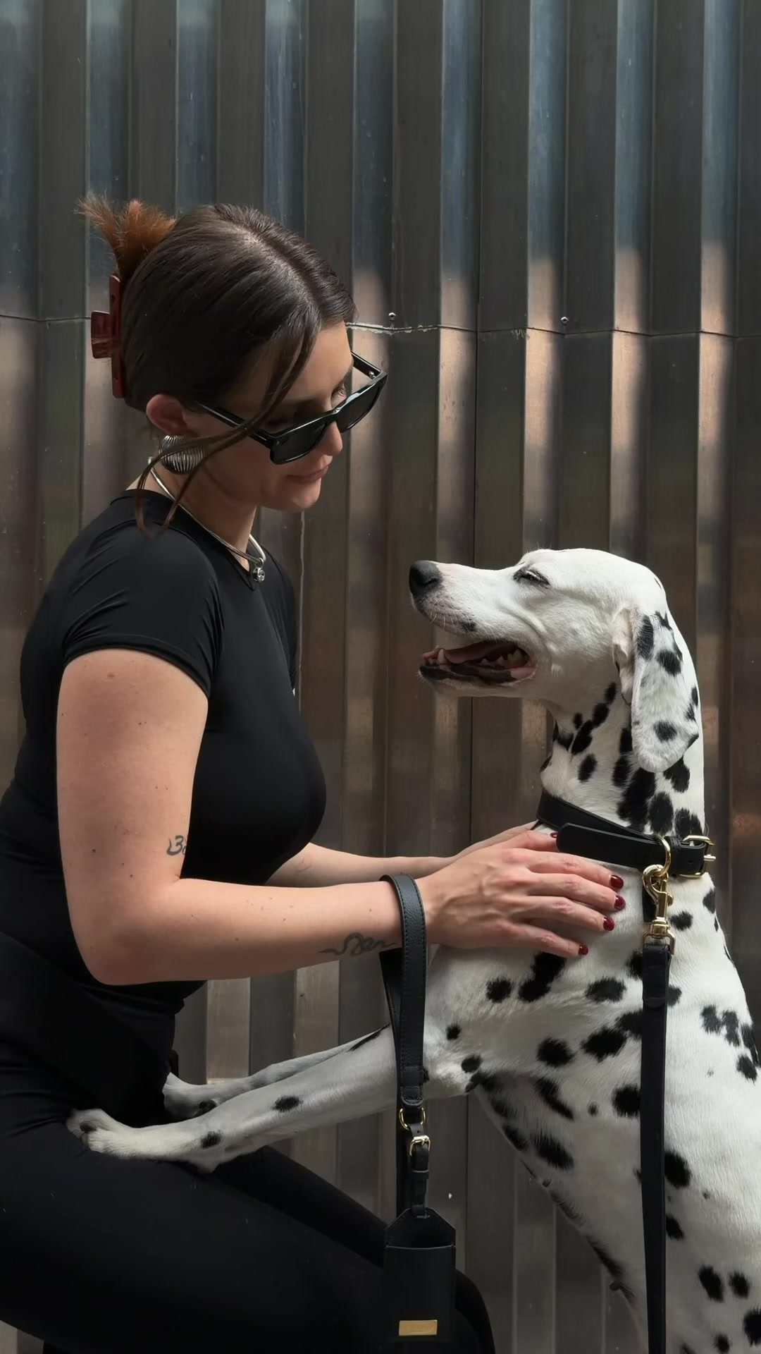 Scopri Perro Collection