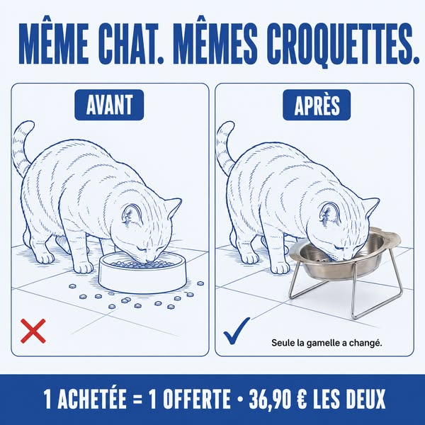 Vous avez changé quatre fois de croquettes