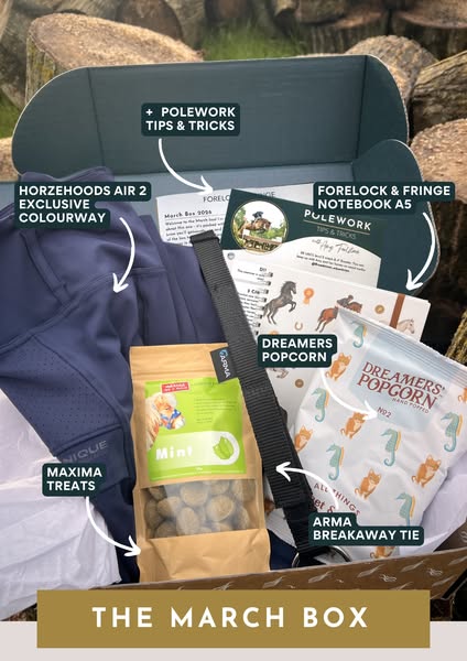 5–7 Tailored Treats for You & Your Horse